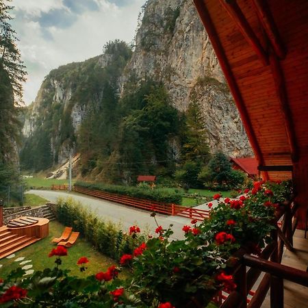 Casa Cheile Dambovicioarei - Cabana 2 Dîmbovicioara Zewnętrze zdjęcie