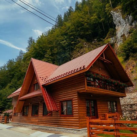 Casa Cheile Dambovicioarei - Cabana 2 Dîmbovicioara Zewnętrze zdjęcie