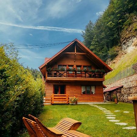 Casa Cheile Dambovicioarei - Cabana 2 Dîmbovicioara Zewnętrze zdjęcie