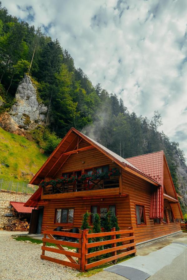 Casa Cheile Dambovicioarei - Cabana 2 Dîmbovicioara Zewnętrze zdjęcie