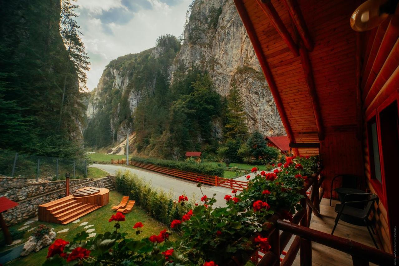 Casa Cheile Dambovicioarei - Cabana 2 Dîmbovicioara Zewnętrze zdjęcie