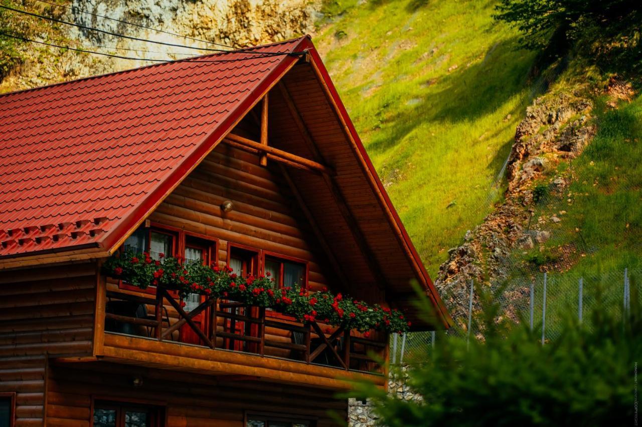 Casa Cheile Dambovicioarei - Cabana 2 Dîmbovicioara Zewnętrze zdjęcie