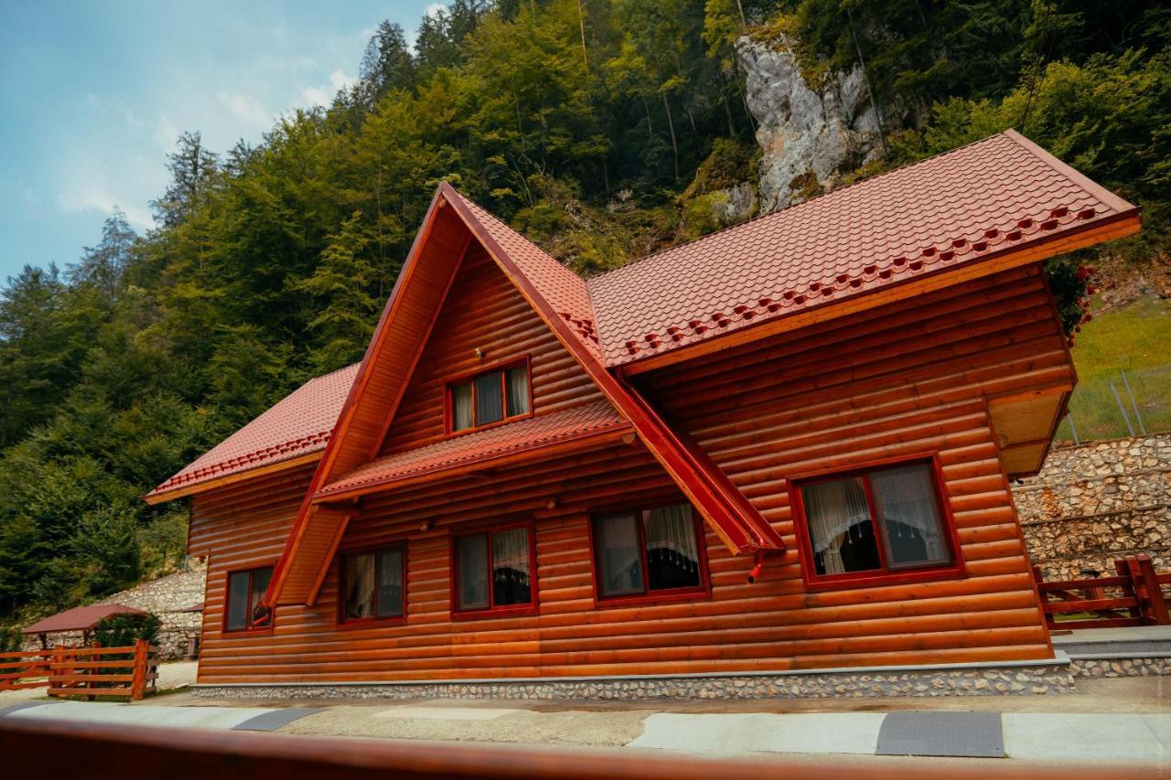 Casa Cheile Dambovicioarei - Cabana 2 Dîmbovicioara Zewnętrze zdjęcie
